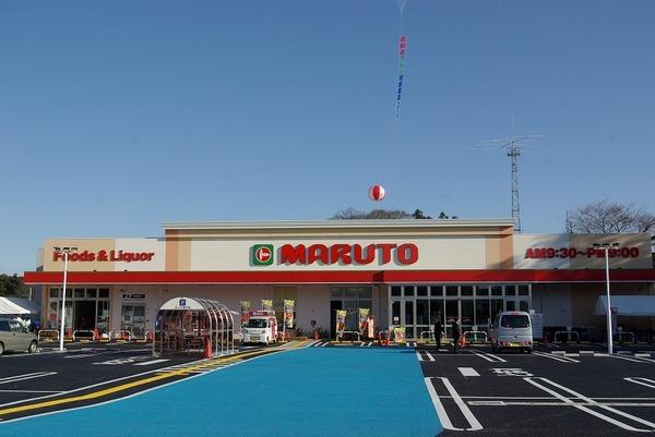 レーベンハイム水戸ナチュレア15F(マルト元吉田店)