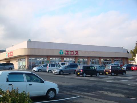 Cradlegarden日立市金沢町第6　全1棟(エコス金沢店)