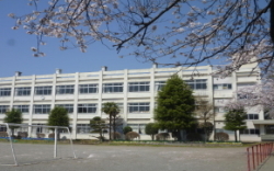 リーブルガーデン　ひたちなか中根9期　4号棟(ひたちなか市立中根小学校)
