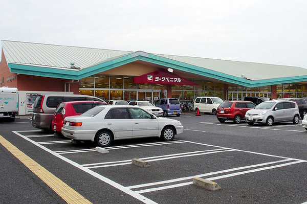 ハートフルタウン　新原1丁目3064番　B号棟(ヨークベニマル新原店)