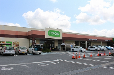 ケイアイテラス　ひたちなか市東石川1期　全1棟(コープひたちなか店)