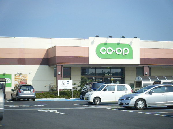 ブルーミングガーデン　水戸市住吉町　全1棟(コープ水戸店)