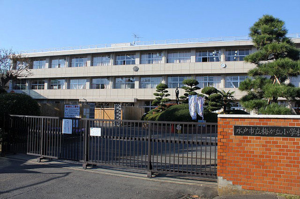 ケイアイグレース　水戸市見和3期　全1棟(水戸市立梅が丘小学校)