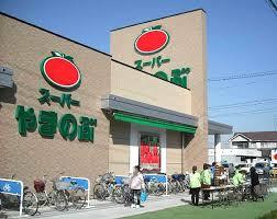 豊田市上郷町5丁目の土地(スーパーやまのぶ上郷店)