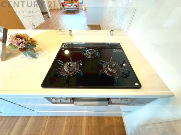 尼崎市西難波町6丁目の中古一戸建て(キッチン)