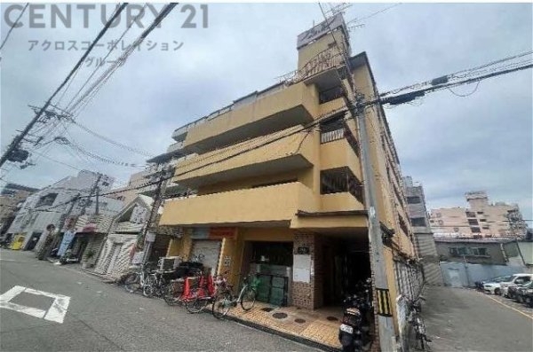 パレ正起