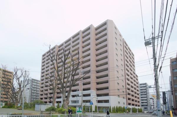 アデニウム新横浜