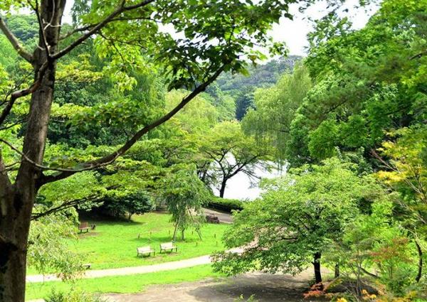 ガルボシティ-鶴見区梶山2丁目(三ツ池公園)