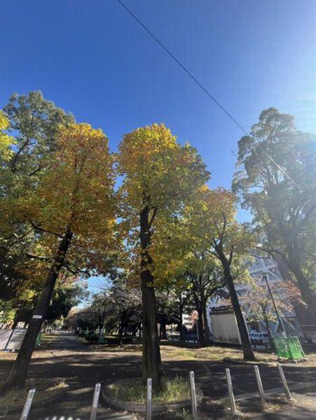 エクセレントシティ横濱大通り公園