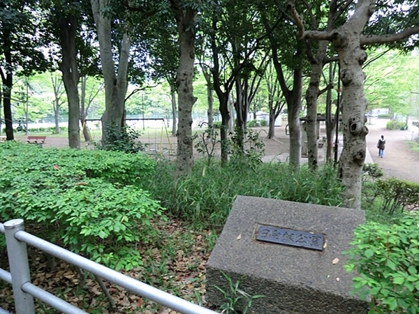 若葉台団地1-8号棟(日向根公園)
