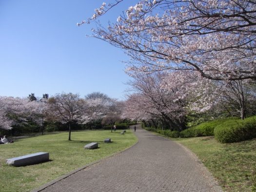 横浜市中区本牧原の土地(本牧山頂公園)