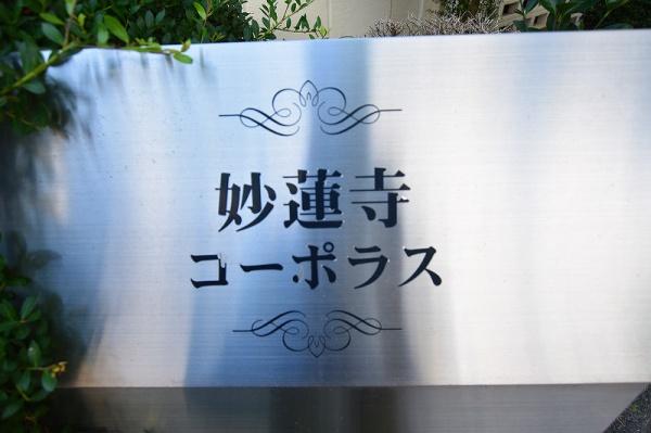 妙蓮寺コーポラス