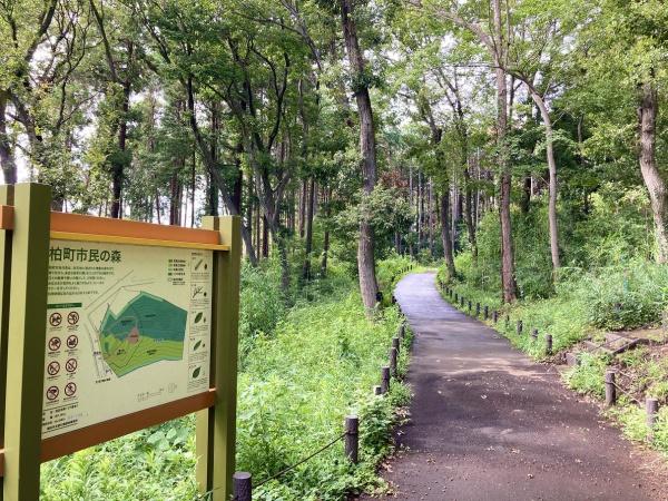 ネオステージ南万騎が原(柏町市民の森)