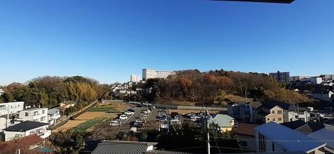 サングレイス横濱神大寺