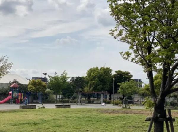 コットンハーバータワーズベイウエスト(星野町公園)