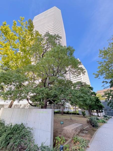 コットンハーバータワーズベイウエスト