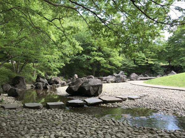 Dscourt中山8(四季の森公園)