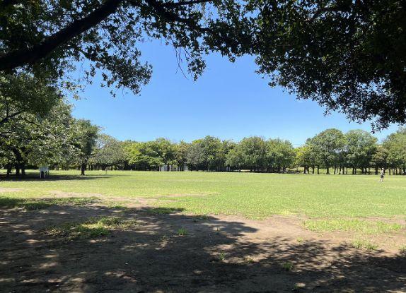 コスモ岸根公園(岸根公園)