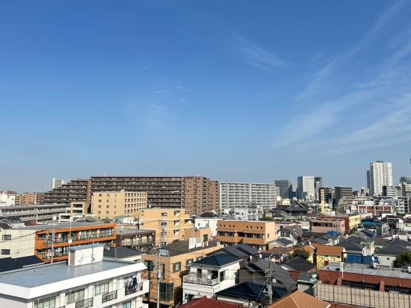 ラウレス矢向