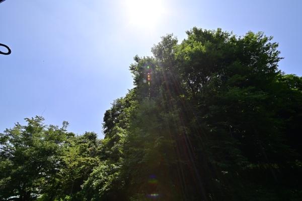 旭区南本宿町全3棟　A号棟