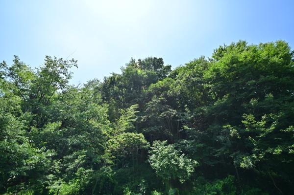 旭区南本宿町全3棟　B号棟
