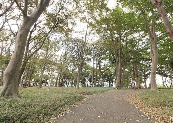 ブルーミングガーデン泉区和泉中央北1丁目(中田中央公園)