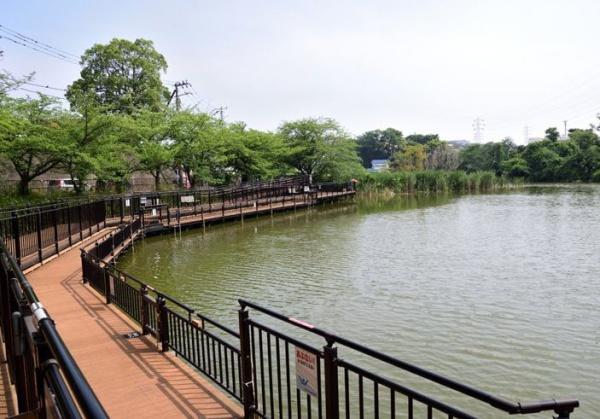 カインドステージ綱島東(二ツ池公園)