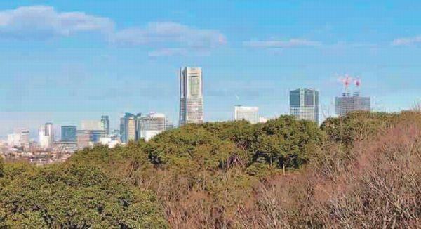 根岸台第一マンションズ