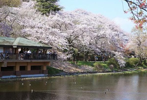 横浜三ツ池公園パーク・ホームズ(三ツ池公園)