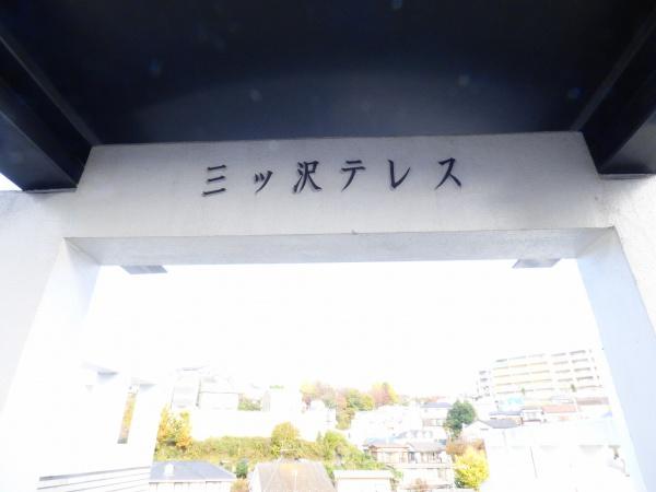 三ツ沢テレス