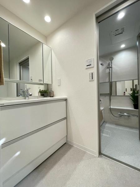 コスモ三ツ沢ガーデン山(洗面台・洗面所)