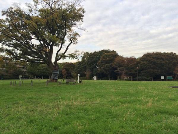 ミラスモシリーズ港北区大倉山6丁目全5棟 5号棟(太尾見晴らしの丘公園)