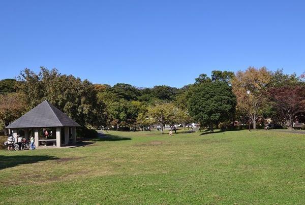 横浜市中区本牧和田の土地(新本牧公園)
