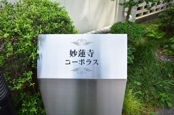 妙蓮寺コーポラス