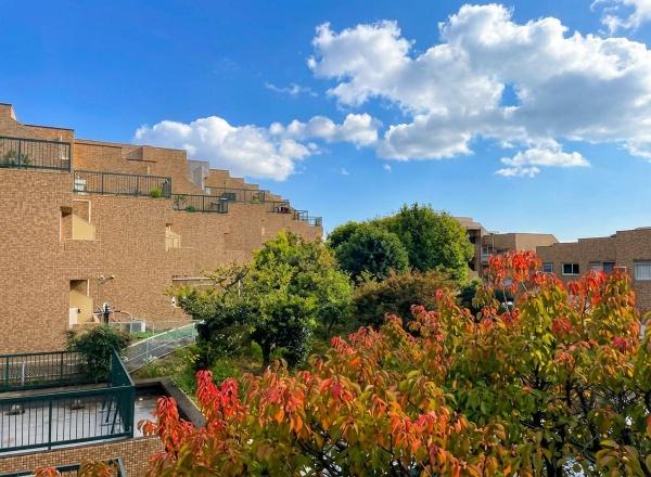 インペリアル菊名