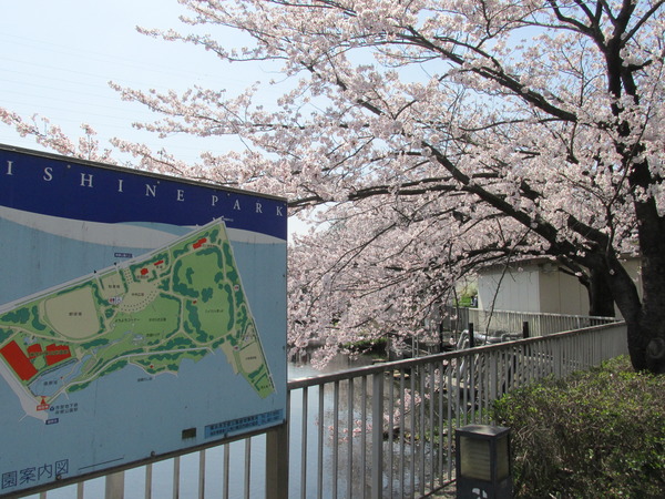 シティコープ神大寺(岸根公園)
