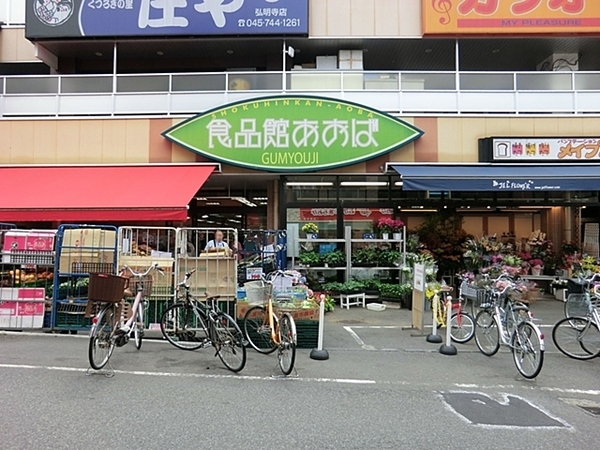 東急ドエル・アルス横浜弘明寺(食品館あおば弘明寺店)