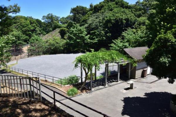 東急ドエル・アルス横浜弘明寺(弘明寺公園)