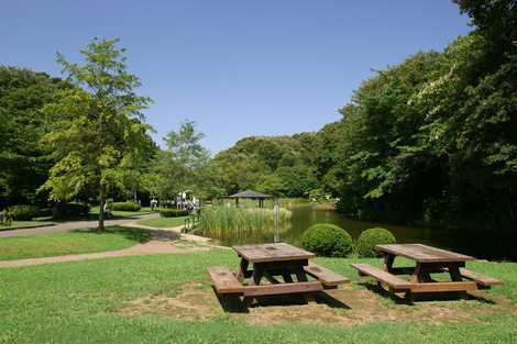 横浜市港南区上大岡東３丁目の中古一戸建て(久良岐公園)