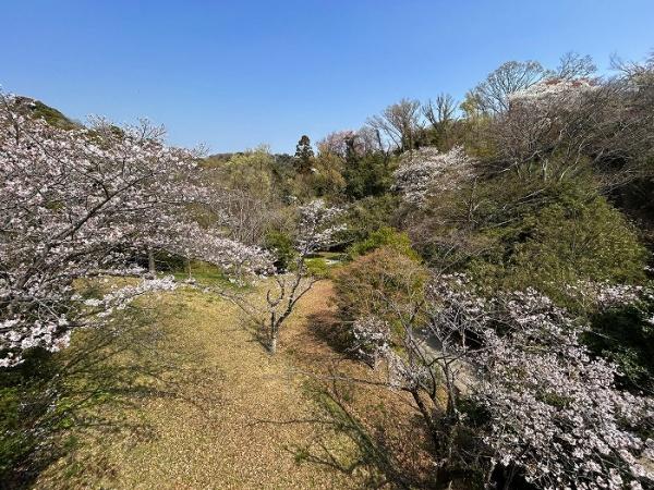 横浜市港南区上大岡東３丁目の中古一戸建て