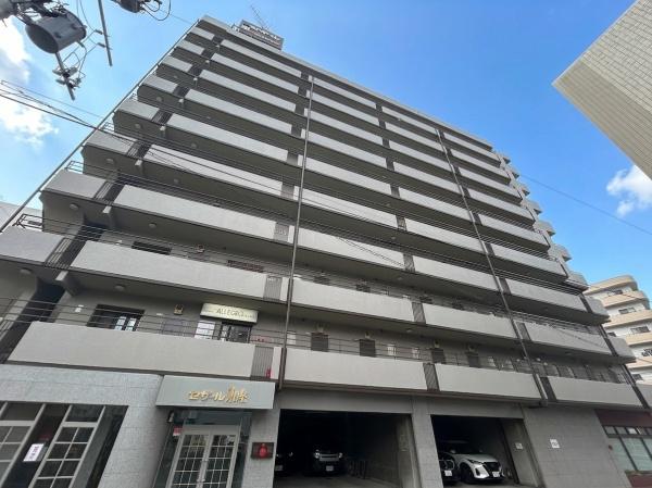セザール東白楽