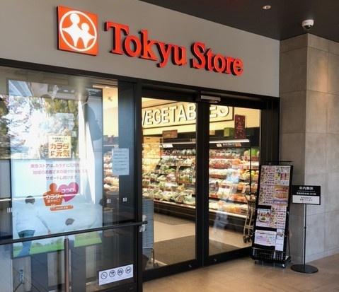 ドレッセタワー新綱島(東急ストア新綱島スクエア店)
