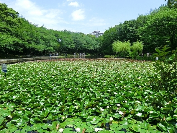 仲町台パークヒルズ５号棟(せせらぎ公園)