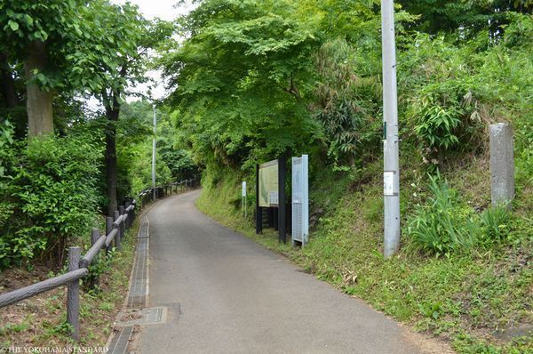 旭区川井本町(三保市民の森)