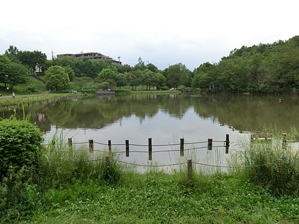 港北ニュータウンパークサイドハイツ3番館(徳生公園)