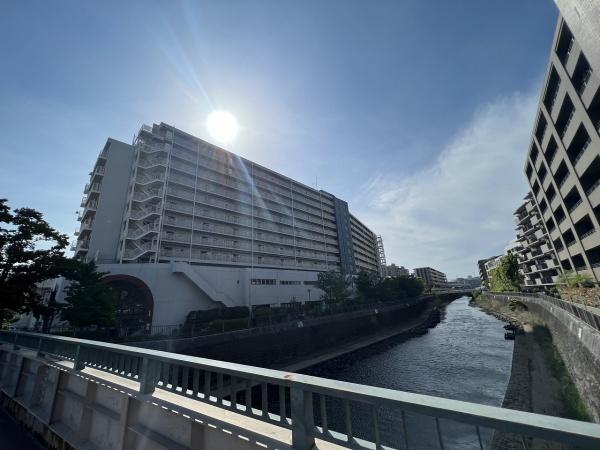 ボナハイツ星川