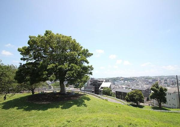 南区清水ケ丘全2棟　A棟(清水ケ丘公園)