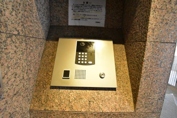 ラムセス横浜星川