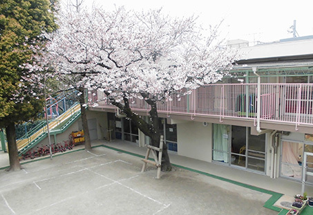 江戸川区松島2丁目の中古一戸建て(松島おひさま保育園)