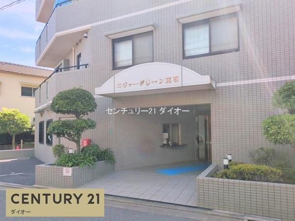 エヴァーグリーン立石